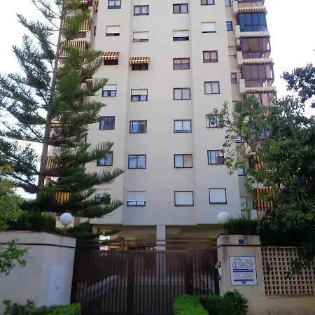 Friendly Flat *
