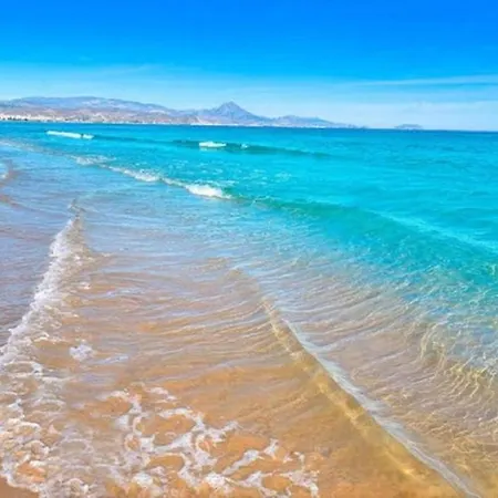 Friendly Flat Apartment